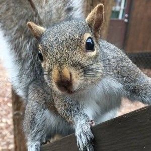 Meet your Posher, Meredith